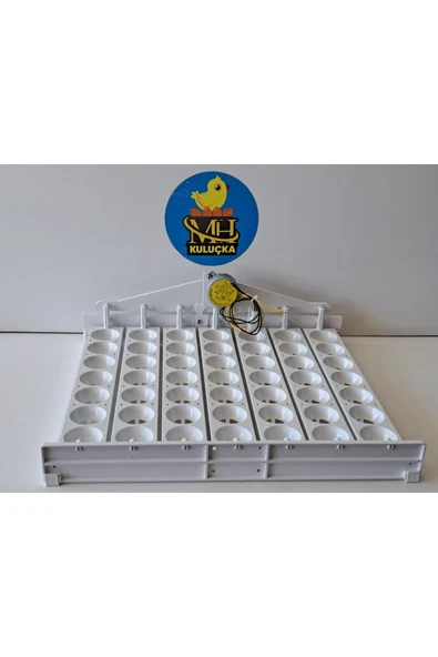 49'luk Otomatik Kuluçka Gelişim Viyolü - Resim 2