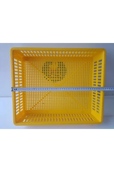 KULUÇKA ÇIKIM SEPETİ 50 tavuk yumurtası - Resim 2