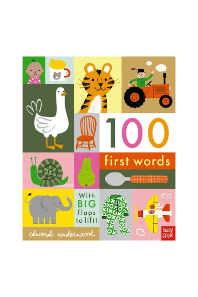 100 First Words ürün görseli