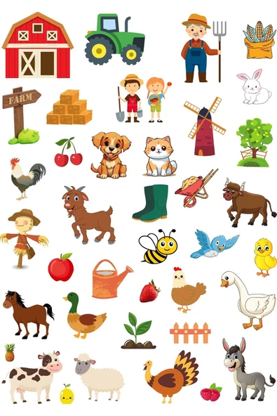 En 14 Kitap İş Kültür Sticker Hediyeli- Doğanın Eşsiz Hikayeleri, Meşe Palamudu Serisi - Resim 2