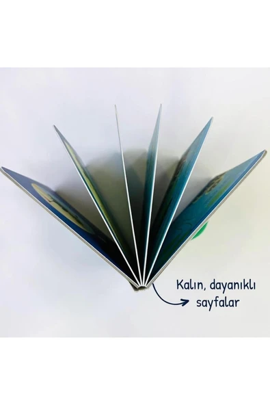 BENİM İLK KAVRAMLAR KİTABIM YAPARSAM OLUR - Resim 5