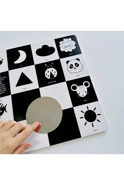 Sincap Kitap Genel Kültür Kitabım Büyüyorum Sticker - Resim 6