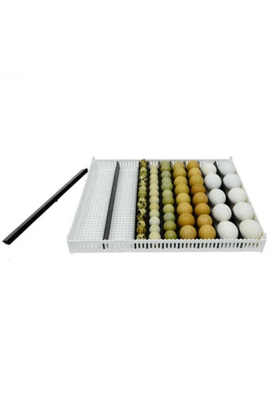 KULUÇKA GELİŞİM TABLASI AYARLANABİLİR 9 adet çıta ile sunulur(40X50 Cm) ürün görseli