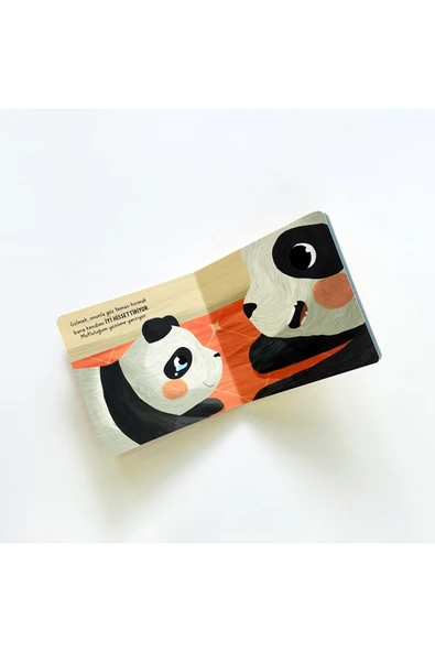 Bebek Üniversitesi - Hikayeli İlk Kavramlarım 3 - Resim 3