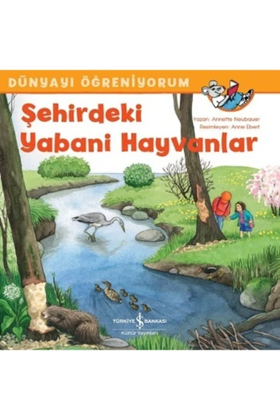 Iş Bankası Kültür Yayınları Şehirdeki Yabani Hayvanlar - Dünyayı Öğreniyorum ürün görseli