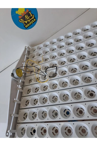 81'lik Otomatik Kuluçka Gelişim Viyolü 46,5x53,5x13,5 - Resim 3