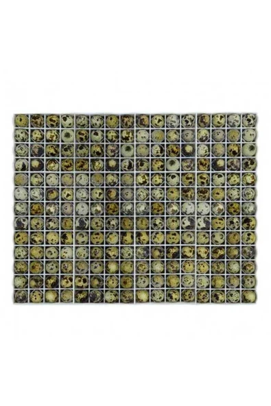 BILDIRCIN KULUÇKA GELİŞİM TABLASI 208 bıldırcın yumurtası (40X50 Cm) - Resim 2