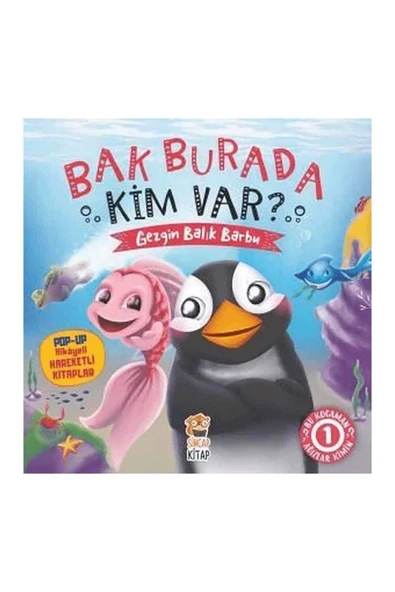 Bak Burada Kim Var? - Gezgin Balık Barbu ürün görseli