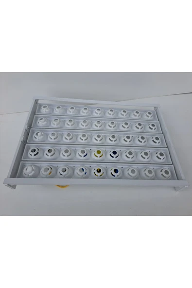 45'lik Otomatik Kuluçka Gelişim Viyolü 46,5X31,5X13,5 - Resim 2