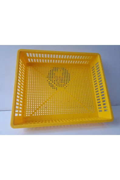 KULUÇKA ÇIKIM SEPETİ 50 tavuk yumurtası ürün görseli