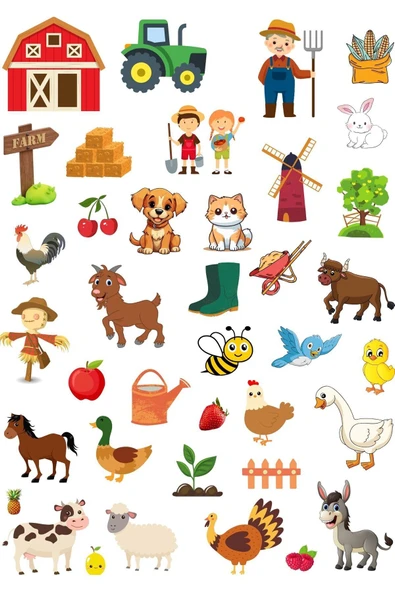 Yeni Doğanın Eşsiz Hikayeleri 11 Kitap Dev Set İş Kültür - A4 Sticker Hediyeli - Resim 2