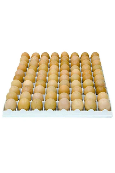 TAVUK KULUÇKA GELİŞİM TABLASI 80 tavuk yumurtası (40X50 Cm) - Resim 2