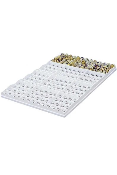 BILDIRCIN KULUÇKA GELİŞİM TABLASI 208 bıldırcın yumurtası (40X50 Cm) ürün görseli