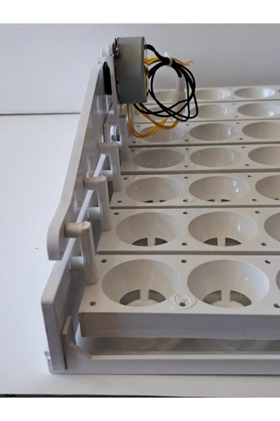 49'luk Otomatik Kuluçka Gelişim Viyolü - Resim 3