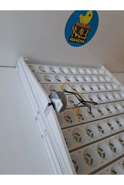 81'lik Otomatik Kuluçka Gelişim Viyolü 46,5x53,5x13,5 - Resim 2