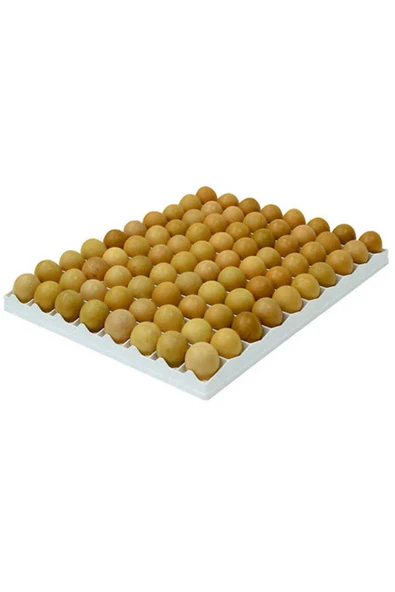 TAVUK KULUÇKA GELİŞİM TABLASI 80 tavuk yumurtası (40X50 Cm) ürün görseli