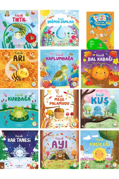 11 Kitap Dev Set Doğanın Eşsiz Hikayeleri Öğrence Gezegeni Kes Yapıştır Kitabı ürün görseli