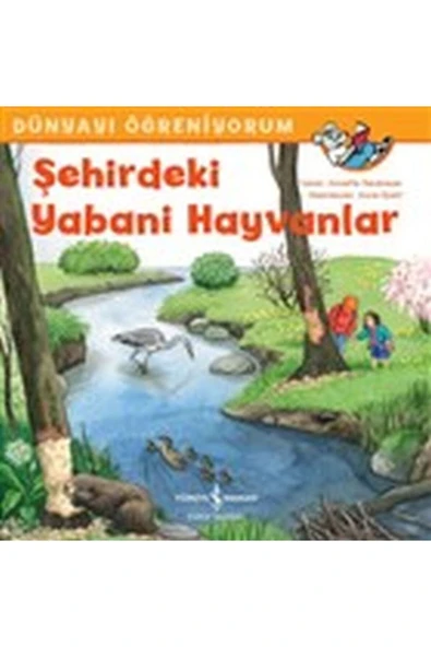 Dünyayı Öğreniyorum Şehirdeki Yabani Hayvanlar Annette Neubauer ürün görseli