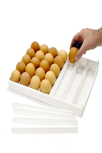 KULUÇKA GELİŞİM TABLASI AYARLANABİLİR 10 adet çıta ile sunulur(24.5X32.5 Cm) - Resim 2