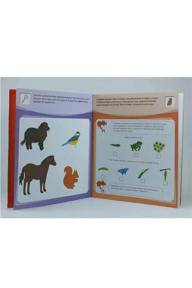 Montessori Metoduyla Uygulamalı Öğrenme - Doğa & Çıkartma Ve Memo Kart Oyunuyla! - Resim 2