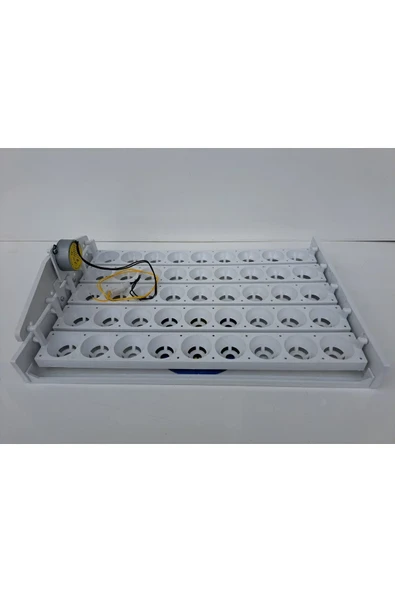 45'lik Otomatik Kuluçka Gelişim Viyolü 46,5X31,5X13,5 - Resim 4