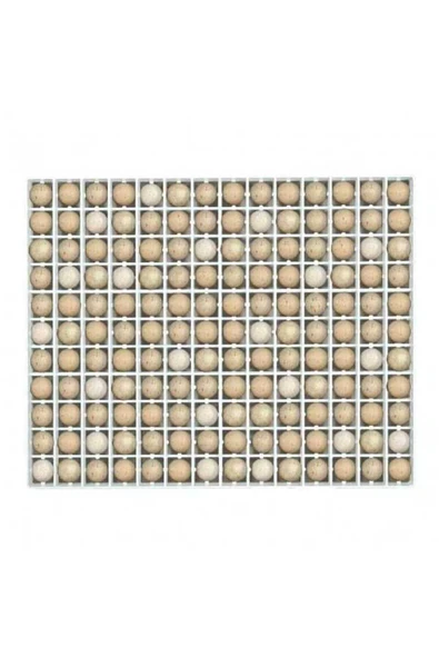 KEKLİK KULUÇKA GELİŞİM TABLASI (40x5x50)154 keklik ürün görseli