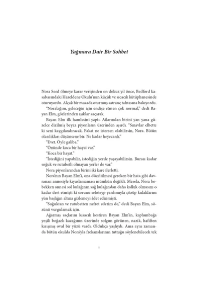 Domingo Gece Yarısı Kütüphanesi - Resim 2