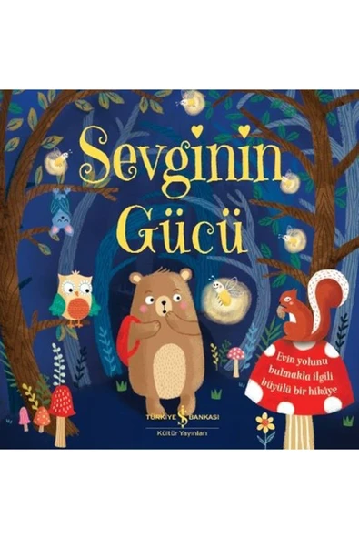 Sevginin Gücü ürün görseli