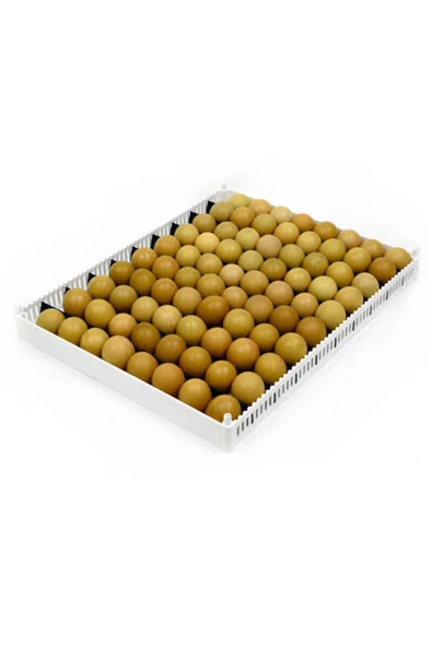 KULUÇKA GELİŞİM TABLASI AYARLANABİLİR 9 adet çıta ile sunulur(40X50 Cm) - Resim 3