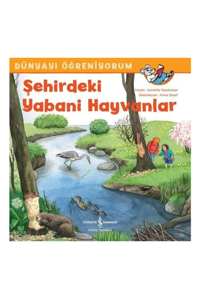 Dünyayı Öğreniyorum Şehirdeki Yabani Hayvanlar Iş Bankası Yay ürün görseli