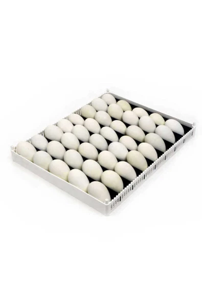 KULUÇKA GELİŞİM TABLASI AYARLANABİLİR 9 adet çıta ile sunulur(40X50 Cm) - Resim 2