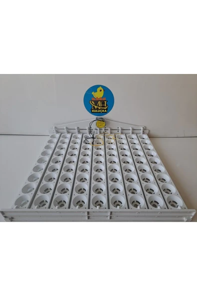 81'lik Otomatik Kuluçka Gelişim Viyolü 46,5x53,5x13,5 ürün görseli