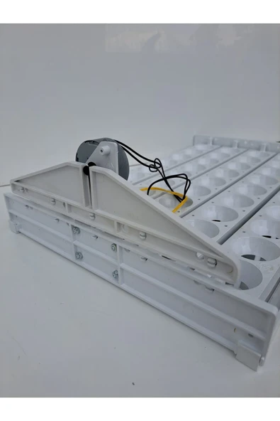 45'lik Otomatik Kuluçka Gelişim Viyolü 46,5X31,5X13,5 - Resim 3