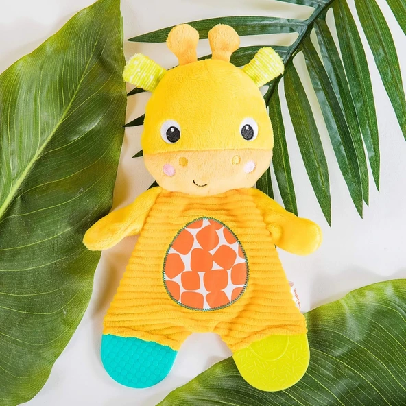 Bright Starts Snuggle & Teethe Yeni Doğanlar için Zürafa Peluş Diş Kaşıyıcı Oyuncak ürün görseli 1