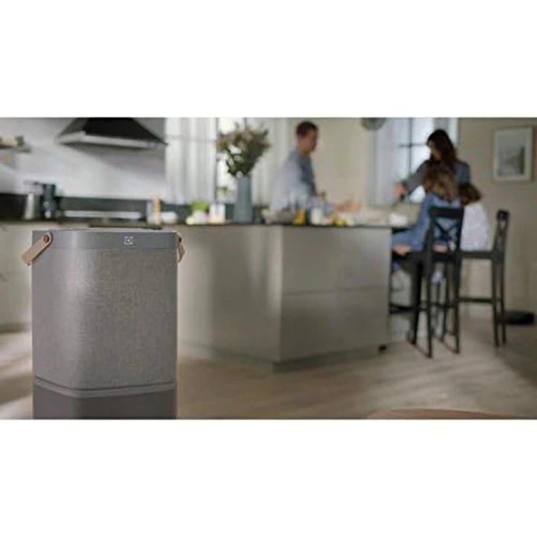 Electrolux EFDCLN4E Clean360 PureA9 ve PureA9.2 Hava Temizleyici Filtresi - Resim 4