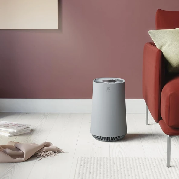 Electrolux EFFBRZ2 FA31-201GY Model Uyumlu Hava Temizleme Cihazı Filtresi - Resim 3