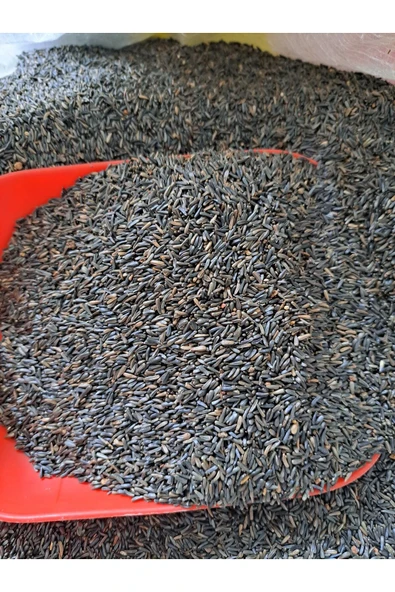 Mh Nijer Tohumu Kuşlar İçin Kızıştırıcı Yemi 1 KG ürün görseli