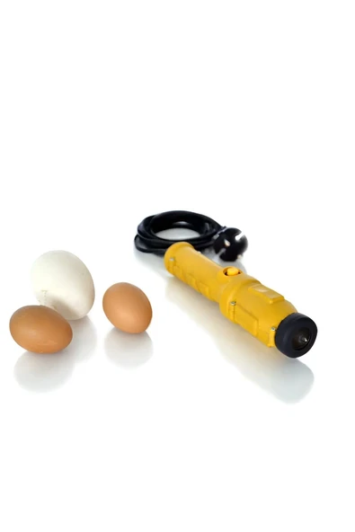 YUMURTA KONTROL LAMBASI - Resim 2