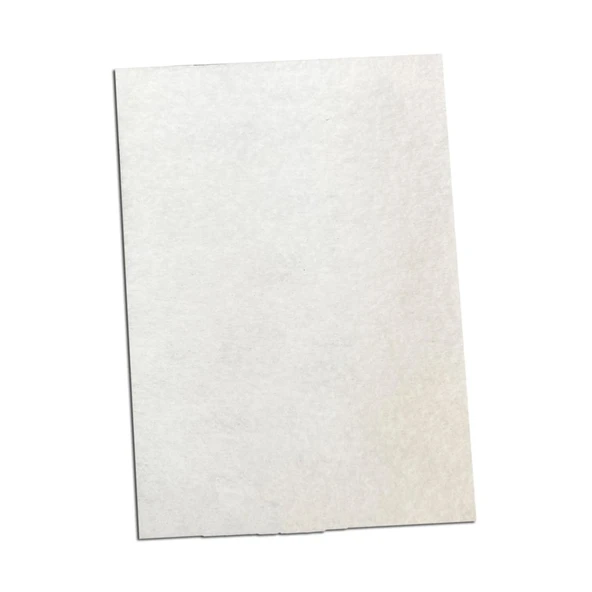 Bosch İle Uyumlu BGL8SIL59 BSG 81623 81266 Ergomaxx'x Elektrikli Süpürge Motor Koruma Keçe Filtre ürün görseli