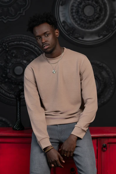 Dorss Regular Fit Armürlü Bisiklet Yaka Likralı Mevsimlik Sweatshirt - Resim 8