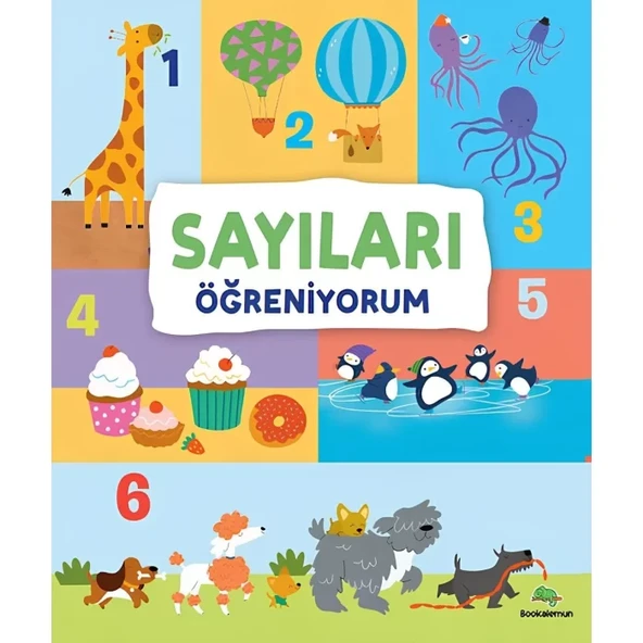 Sayıları Öğreniyorum ürün görseli