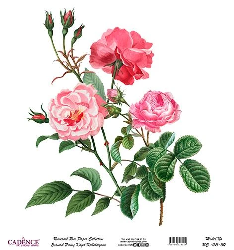 Cadence Evrensel Pirinç Dekopaj Kağıdı - UC-041 ürün görseli