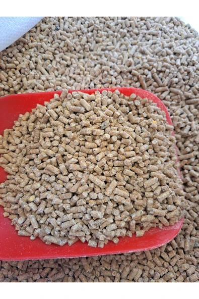 Mh 5111 Etlik Piliç tavuk Güvercin Yavru Yemi( 20 KG) - Resim 2