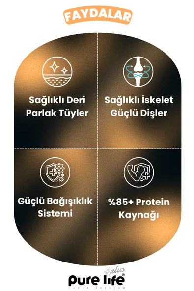 Plus 3'lü Stick Tavuk Etli Kedi Ödül Çubukları 3x15 Gr - Resim 3