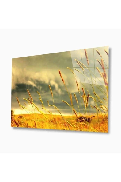 Doğa Cam Tablo 4mm Dayanıklı Temperli Cam ürün görseli