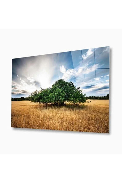 Doğa Cam Tablo 4mm Dayanıklı Temperli Cam ürün görseli