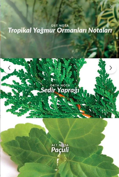 Avon Musk İnstinct Erkek Parfüm EDT 75 ml - Resim 2