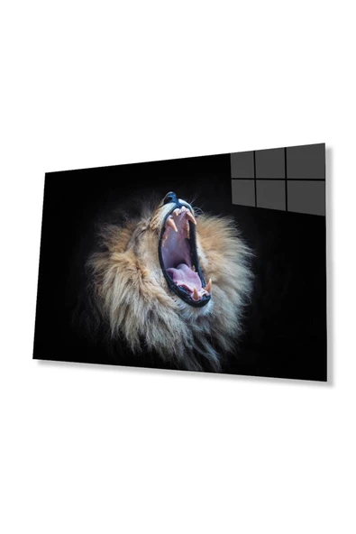 Aslan Cam Tablo 4mm Dayanıklı Temperli Cam ürün görseli