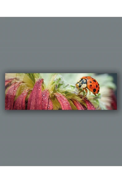 Çiçek ve Uğurböceği Panoramik Cam Tablo Hediyelik Büyük Tablo Ev Ofis Dekoru ürün görseli