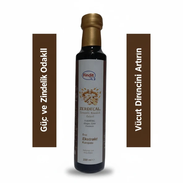 Findit Zerdecal Zencefil Kozalak Özleri, Sıvı Ekstrakt Karışımı, Doğal Bitkisel Destek 250ml - Resim 2
